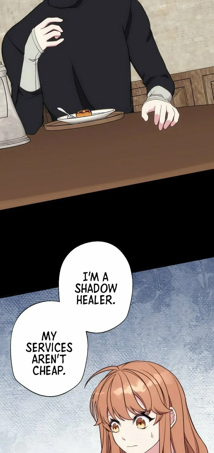 The Brilliant Healer’s New Life in the Shadows Chapter 7 page 11 - 