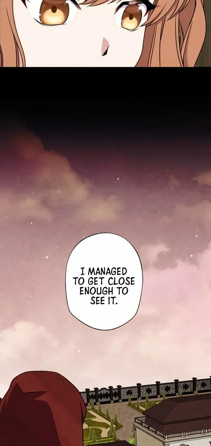 The Brilliant Healer’s New Life in the Shadows Chapter 7 page 45 - 