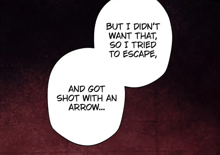 The Brilliant Healer’s New Life in the Shadows Chapter 9 page 82 - 