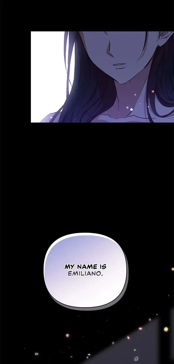 The Broken Ring: This Marriage Will Fail Anyway Chapter 11 page 17 - 