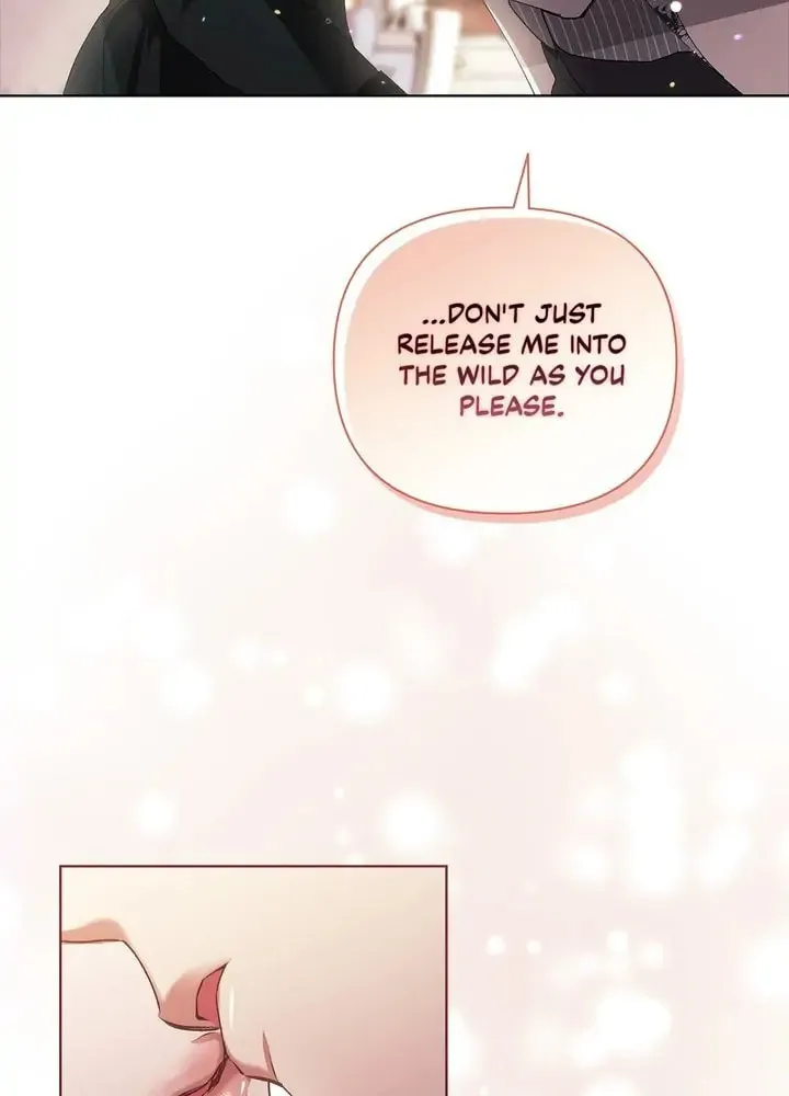 The Broken Ring: This Marriage Will Fail Anyway Chapter 14 page 40 - 