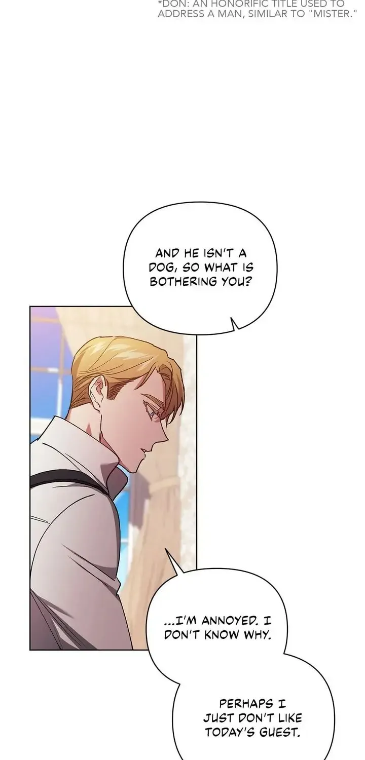 The Broken Ring: This Marriage Will Fail Anyway Chapter 23 page 19 - 