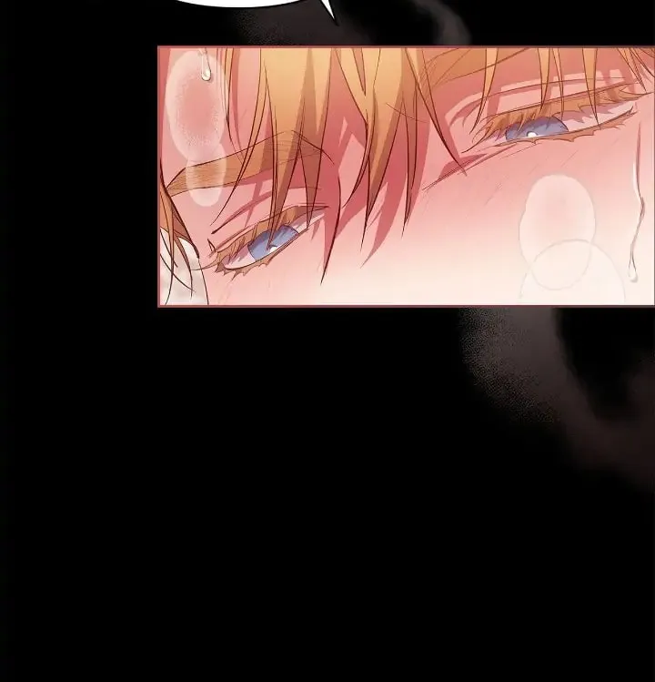 The Broken Ring: This Marriage Will Fail Anyway Chapter 24.5 page 13 - 