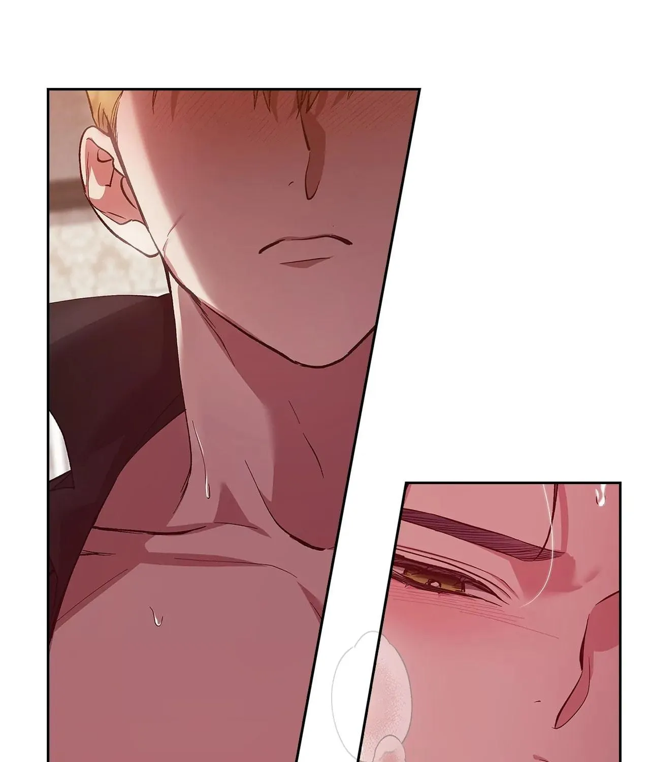 The Broken Ring: This Marriage Will Fail Anyway Chapter 52.5 page 93 - 