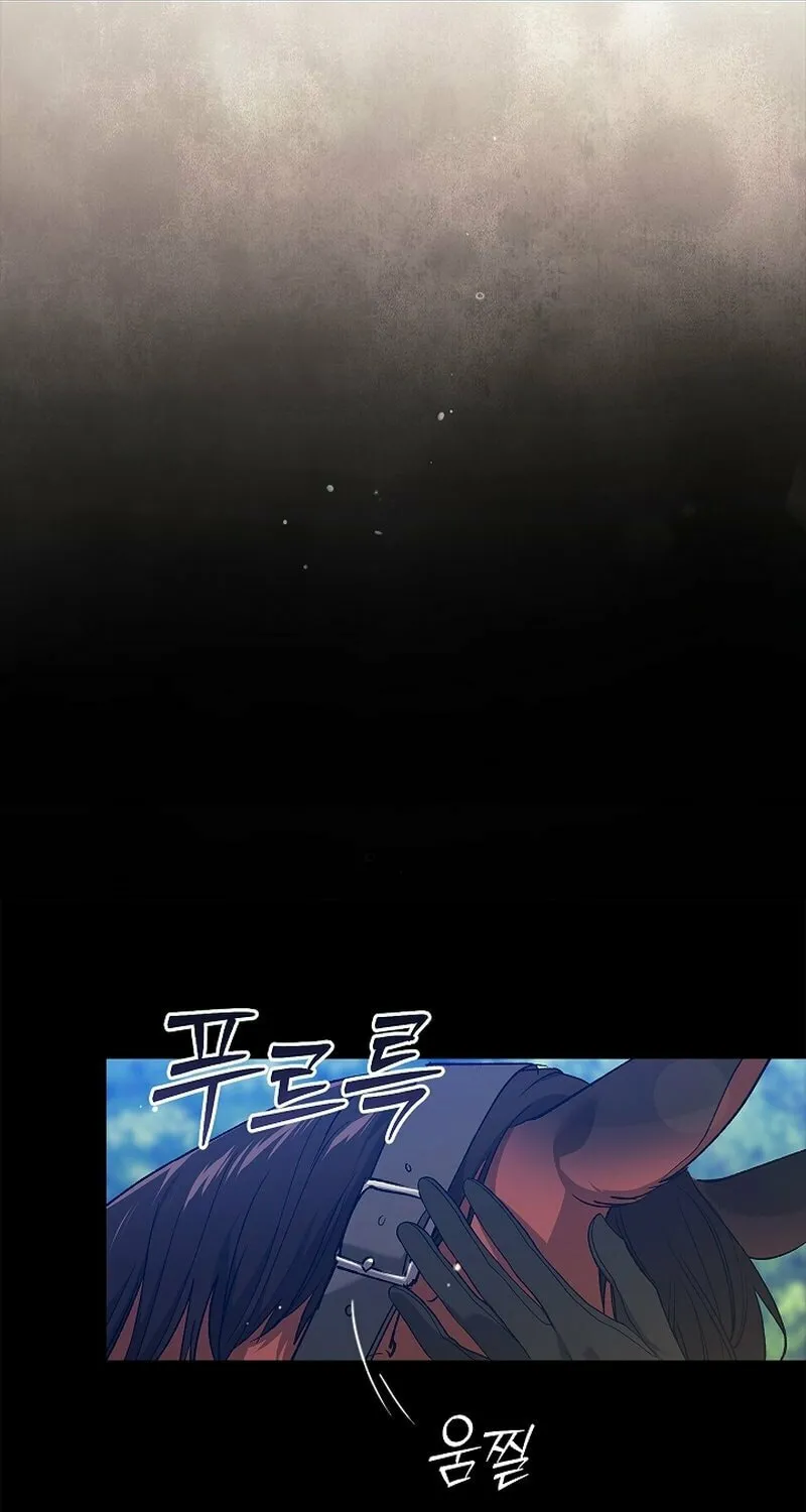 The Broken Ring: This Marriage Will Fail Anyway Chapter 62 page 64 - 