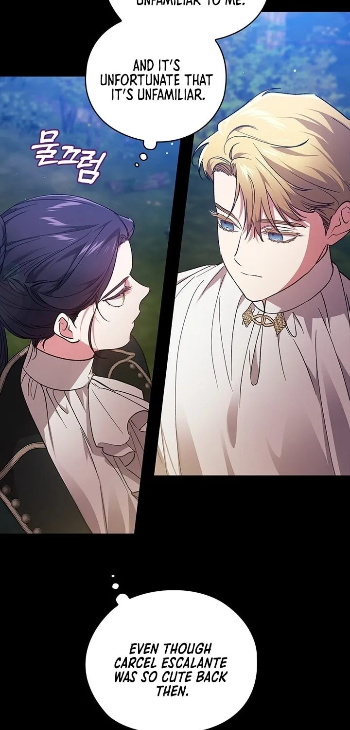The Broken Ring: This Marriage Will Fail Anyway Chapter 63 page 29 - 