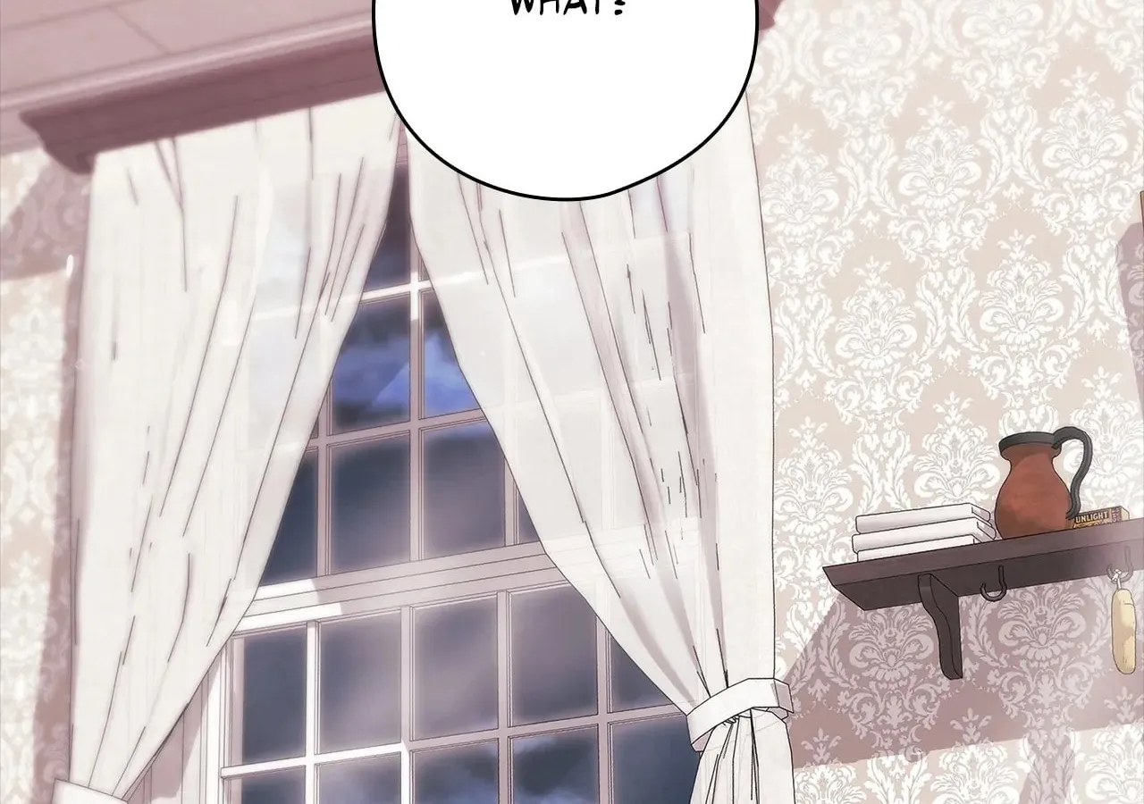 The Broken Ring: This Marriage Will Fail Anyway Chapter 64.5 page 2 - 