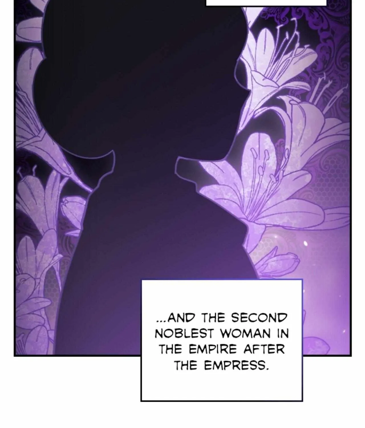 The Broken Ring: This Marriage Will Fail Anyway Chapter 65.5 page 12 - 