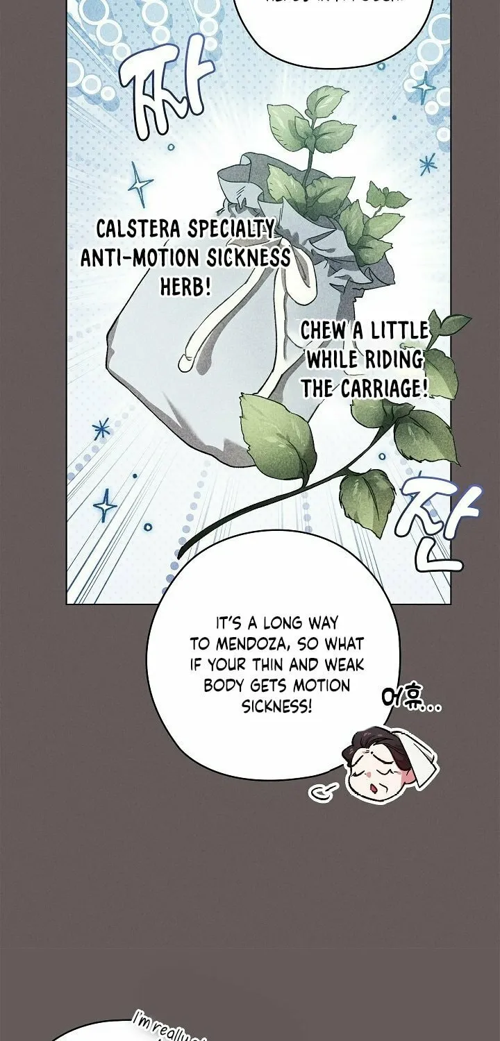 The Broken Ring: This Marriage Will Fail Anyway Chapter 73 page 70 - 
