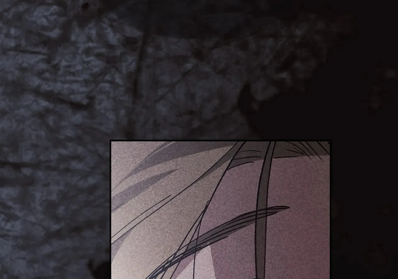 The Broken Ring: This Marriage Will Fail Anyway Chapter 83 page 168 - 