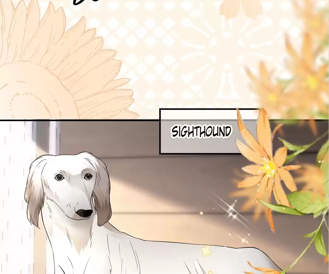 The Burning Flames of Intense Love Chapter 103 page 49 - 