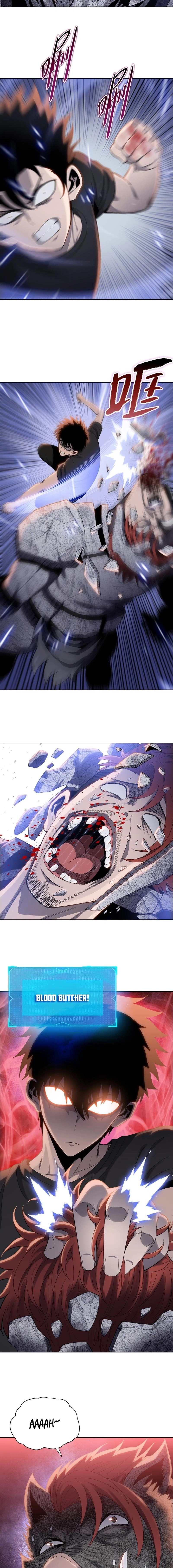 The Butcher Blade That Pierces All Realms Chapter 19 page 13 - 