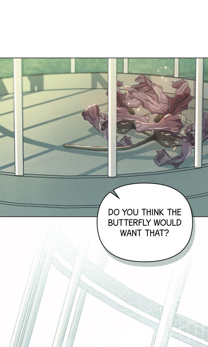 The Butterfly That Swallowed Fog Chapter 0 page 14 - 