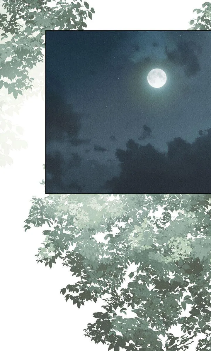 The Butterfly That Swallowed Fog Chapter 29 page 41 - 