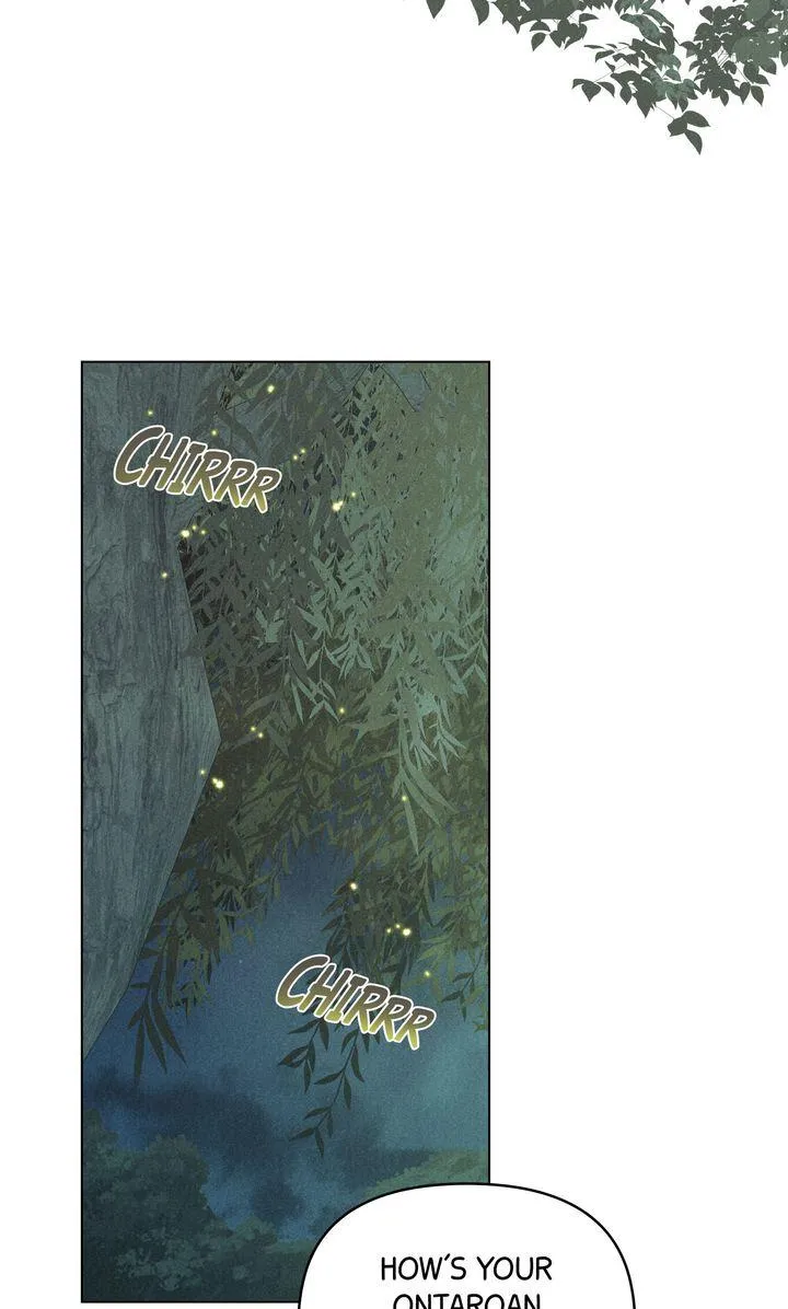 The Butterfly That Swallowed Fog Chapter 29 page 42 - 