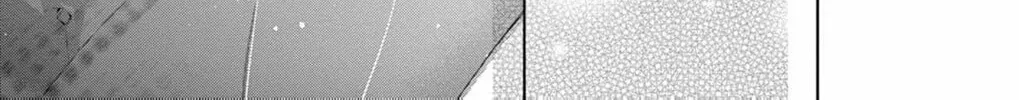 The butterfly trapped in a cage of love and obsession Chapter 3 page 62 - 