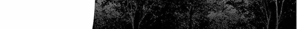 The butterfly trapped in a cage of love and obsession Chapter 3 page 74 - 