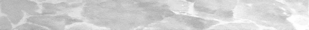 The butterfly trapped in a cage of love and obsession Chapter 6 page 80 - 