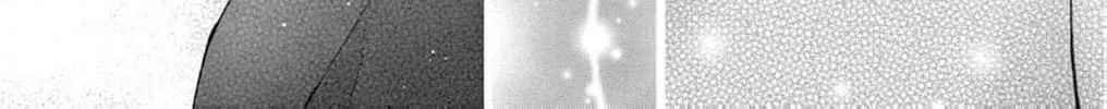 The butterfly trapped in a cage of love and obsession Chapter 8 page 22 - 