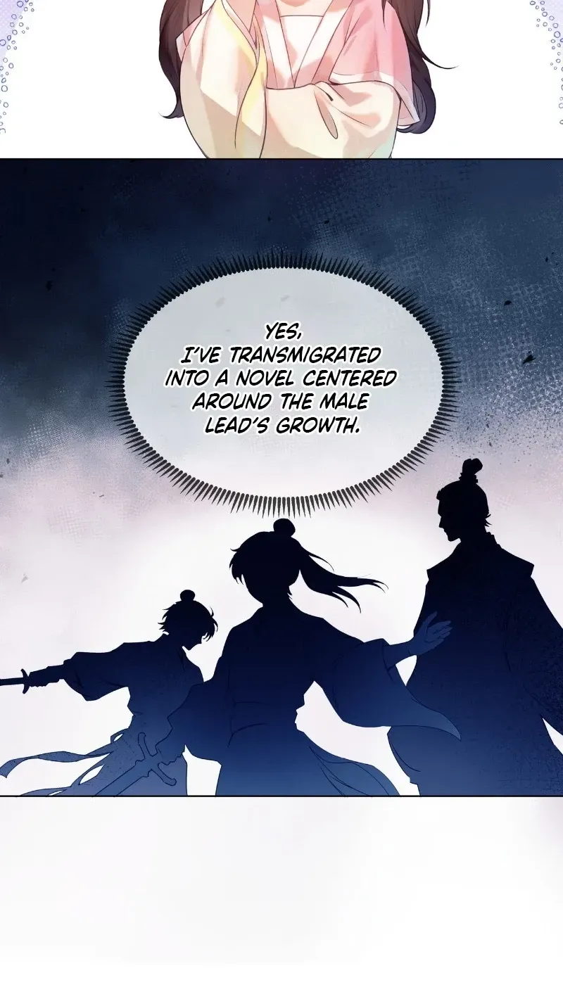 The Cannon-Fodder Concubine