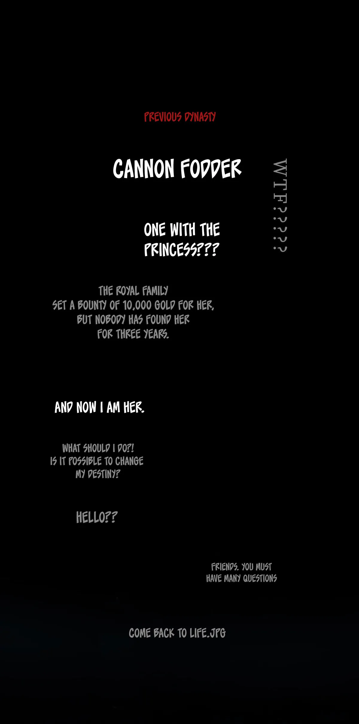 The Cannon Fodder Princess Wants To Last Chapter 0 page 4 - 