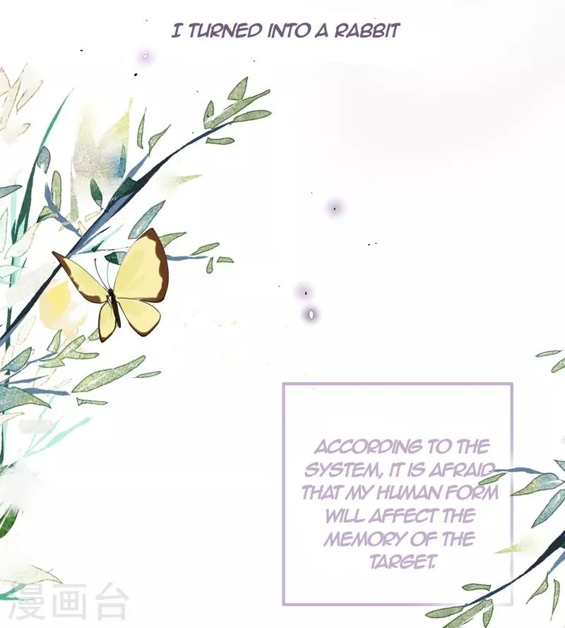 The Cannon Fodder Princess Wants To Last Chapter 26 page 3 - 