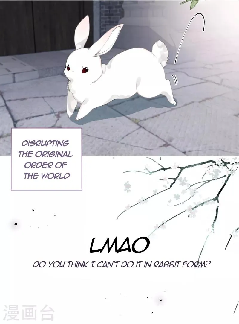 The Cannon Fodder Princess Wants To Last Chapter 26 page 4 - 