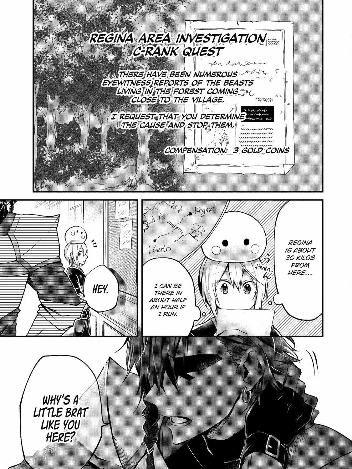The Carefree Journey of the Reincarnated Hero Chapter 11 page 17 - 