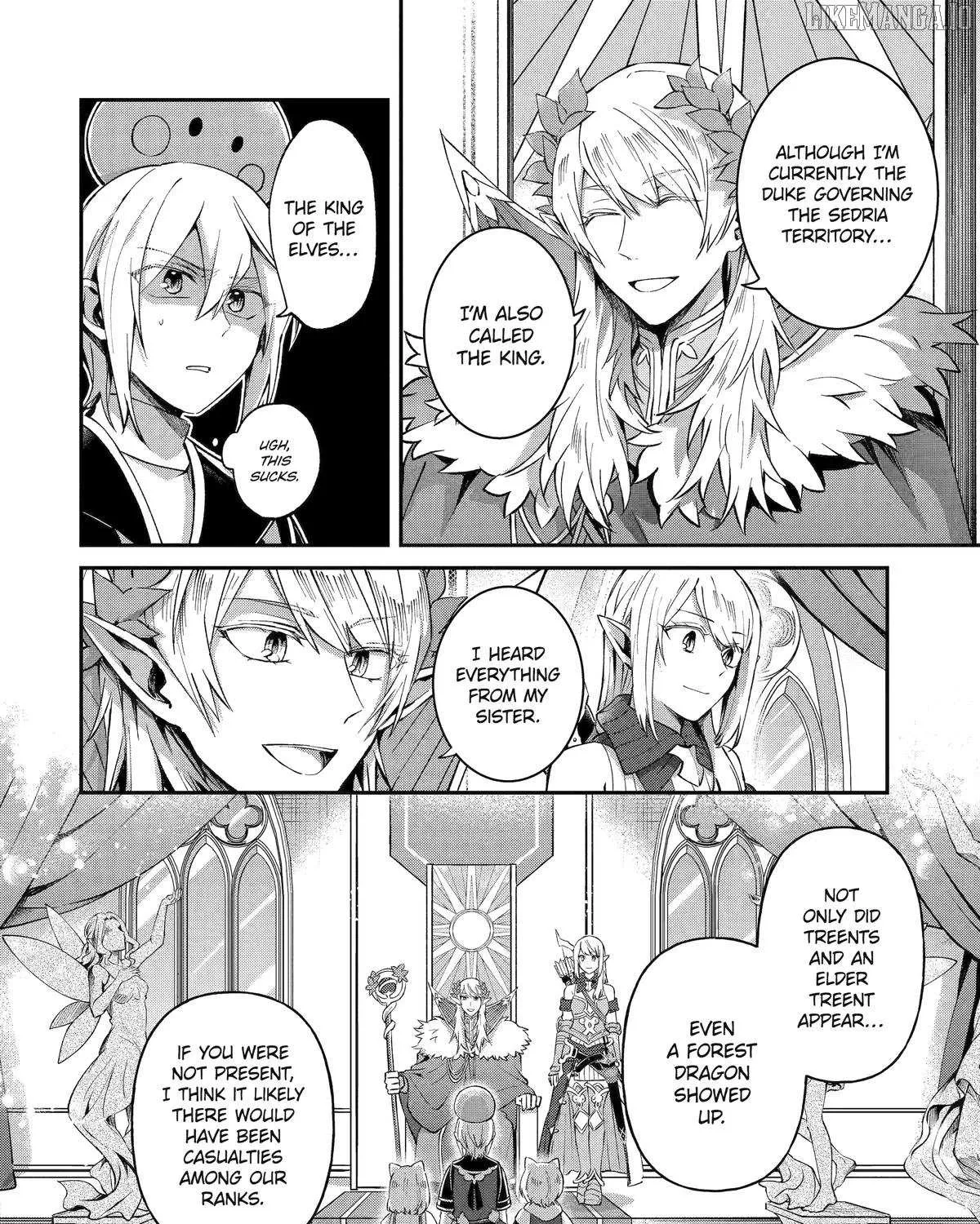 The Carefree Journey of the Reincarnated Hero Chapter 24 page 9 - 
