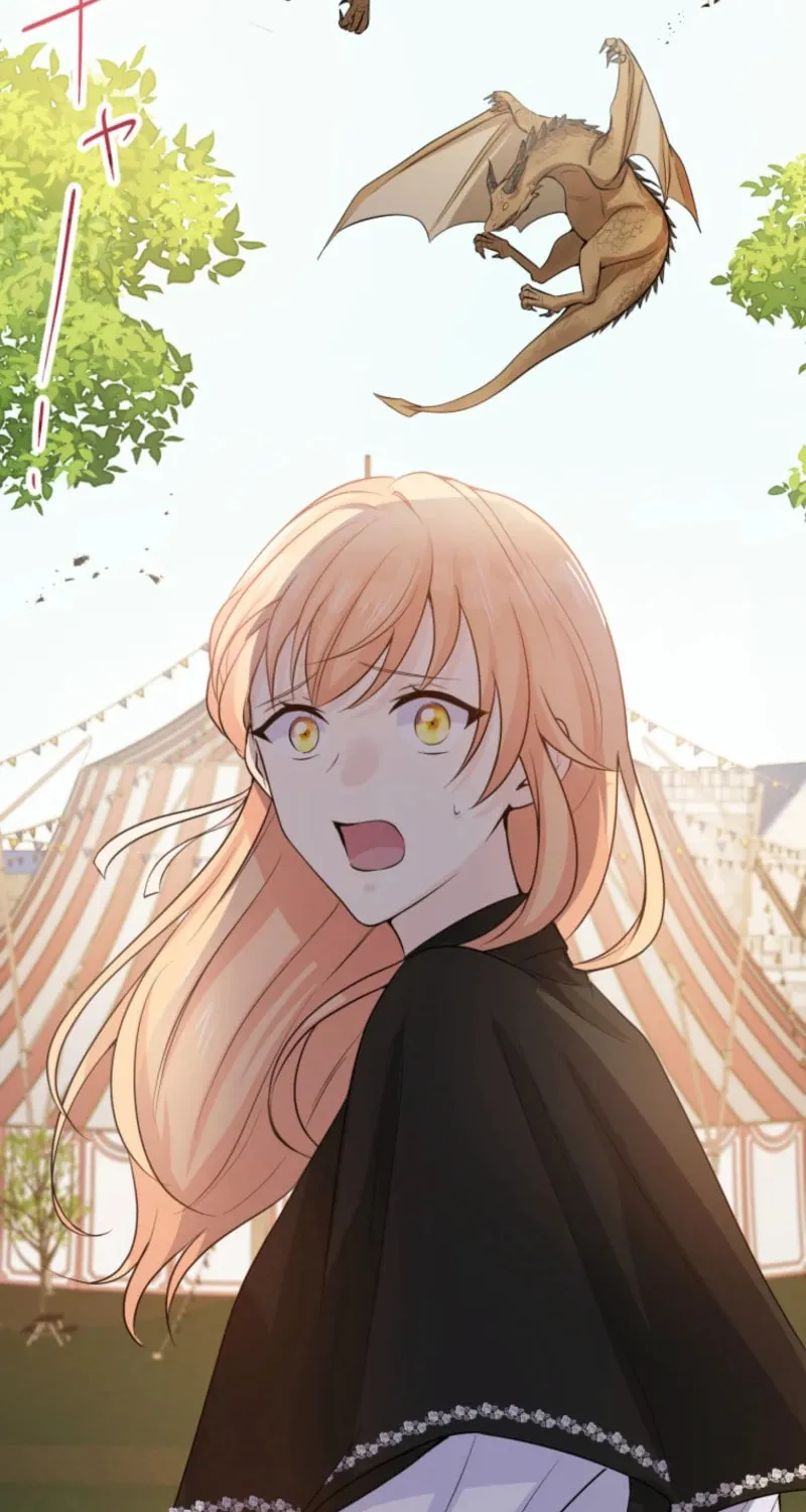 The Caring Young Lady Wants to Be a Wall Chapter 10 page 27 - 