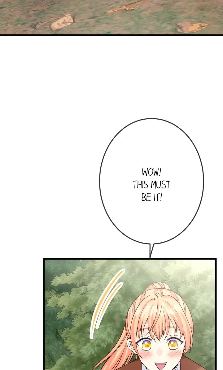 The Caring Young Lady Wants to Be a Wall Chapter 21 page 43 - 