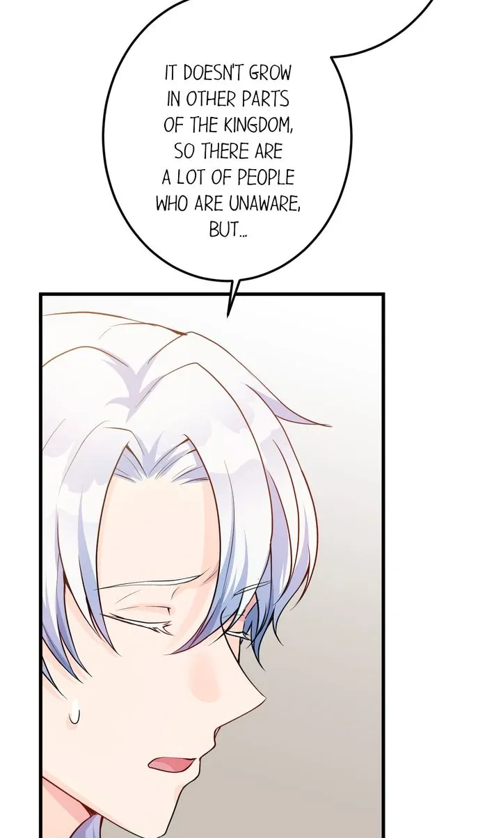 The Caring Young Lady Wants to Be a Wall Chapter 22 page 66 - 
