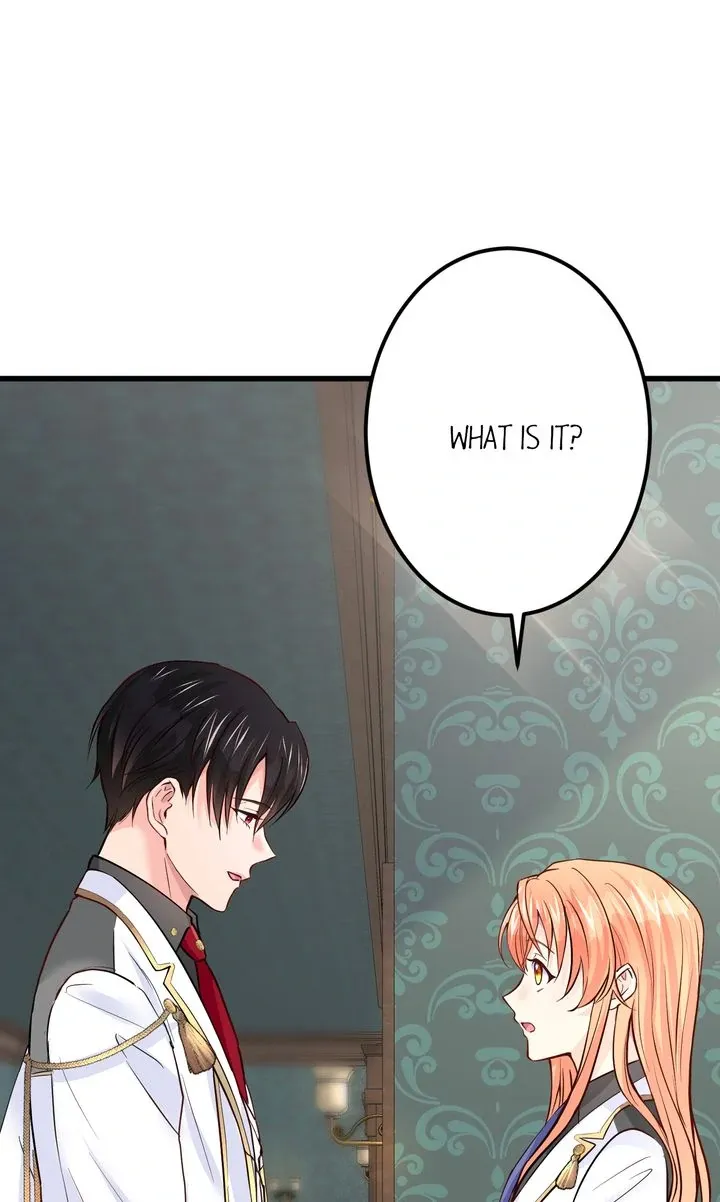 The Caring Young Lady Wants to Be a Wall Chapter 27 page 15 - 