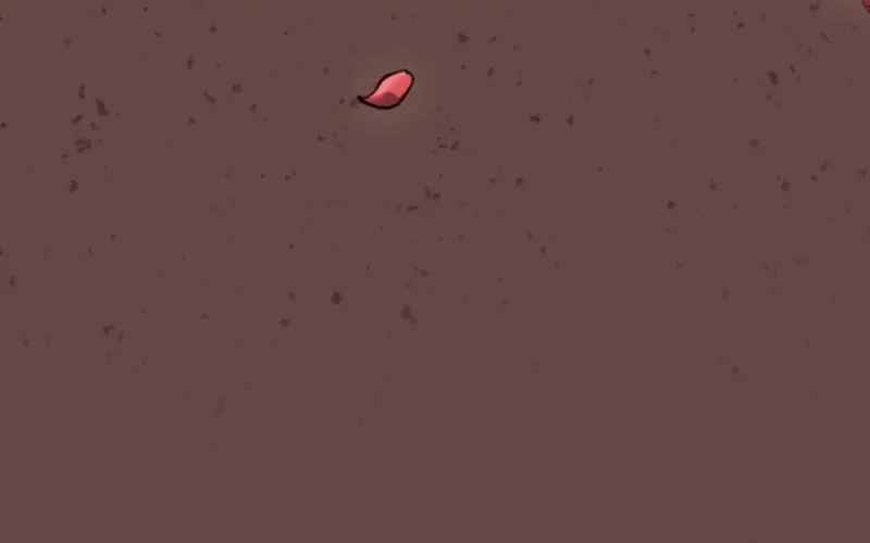 The Caring Young Lady Wants to Be a Wall Chapter 4 page 6 - 
