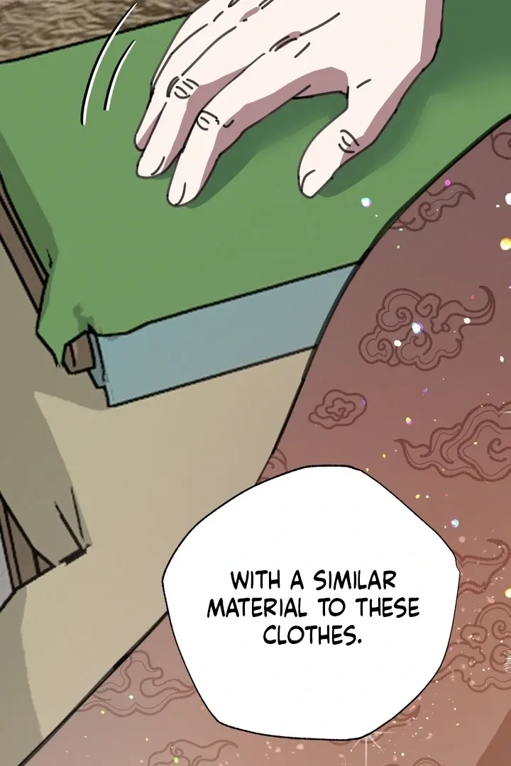 The Celestial Fairy Has Me Bound Chapter 3 page 16 - 