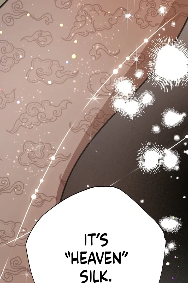 The Celestial Fairy Has Me Bound Chapter 3 page 17 - 