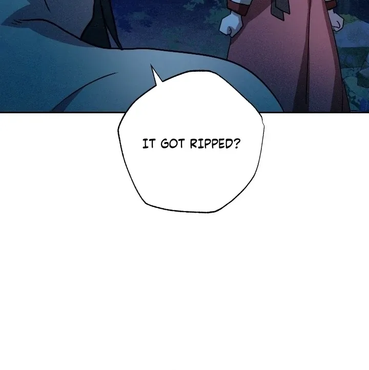The Celestial Fairy Has Me Bound Chapter 7 page 28 - 