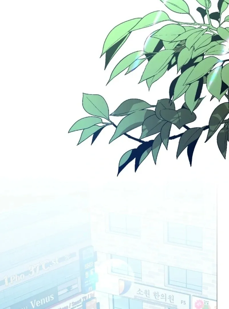 The CEO Caught Me in Heat Chapter 0 page 2 - 
