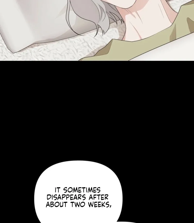 The CEO Caught Me in Heat Chapter 0 page 12 - 