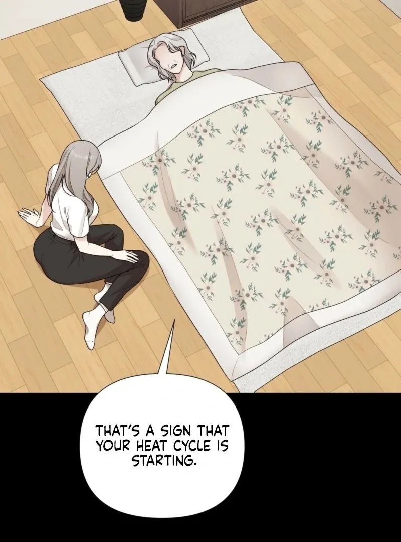 The CEO Caught Me in Heat Chapter 0 page 10 - 