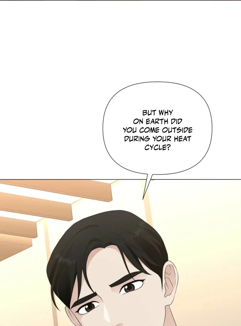 The CEO Caught Me in Heat Chapter 1 page 105 - 