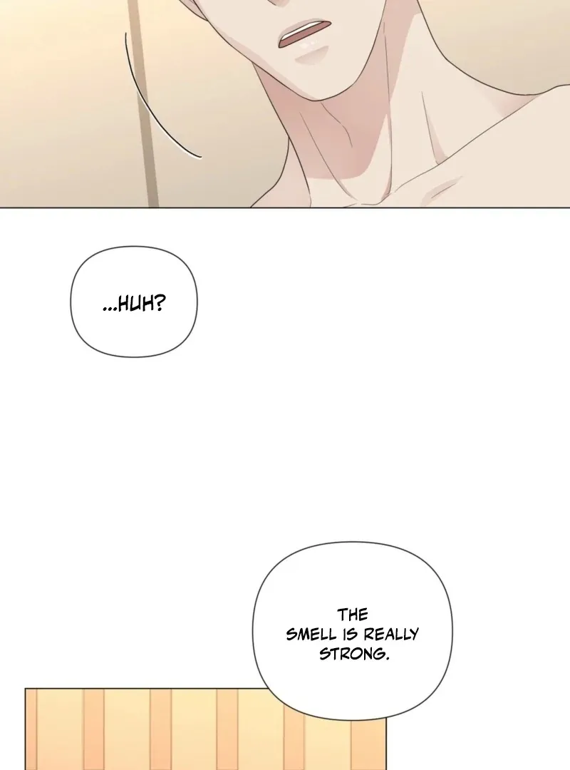 The CEO Caught Me in Heat Chapter 1 page 106 - 