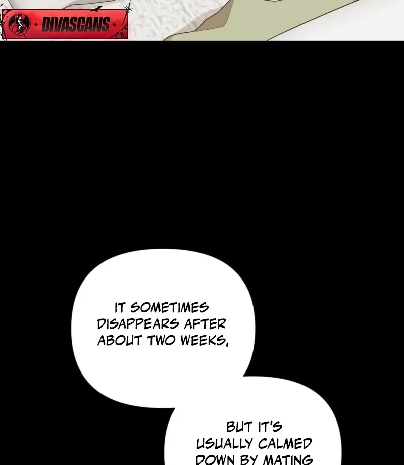 The CEO Caught Me in Heat Chapter 1 page 12 - 
