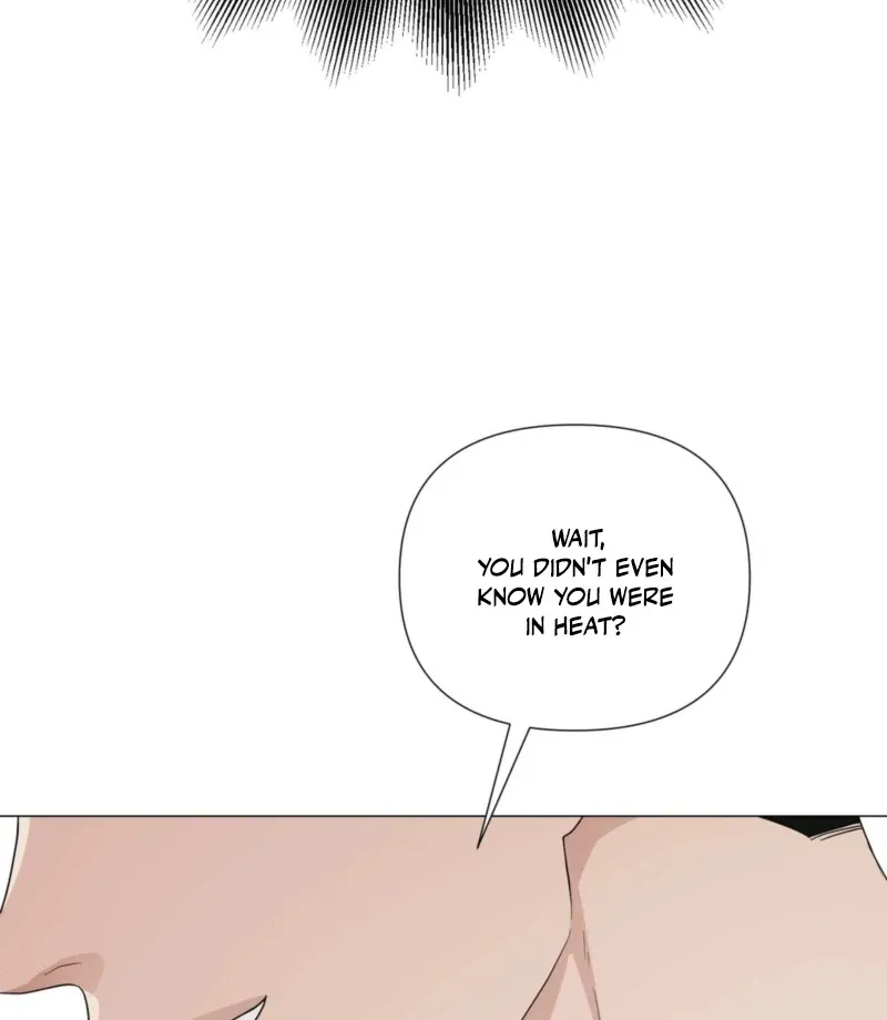 The CEO Caught Me in Heat Chapter 1 page 111 - 