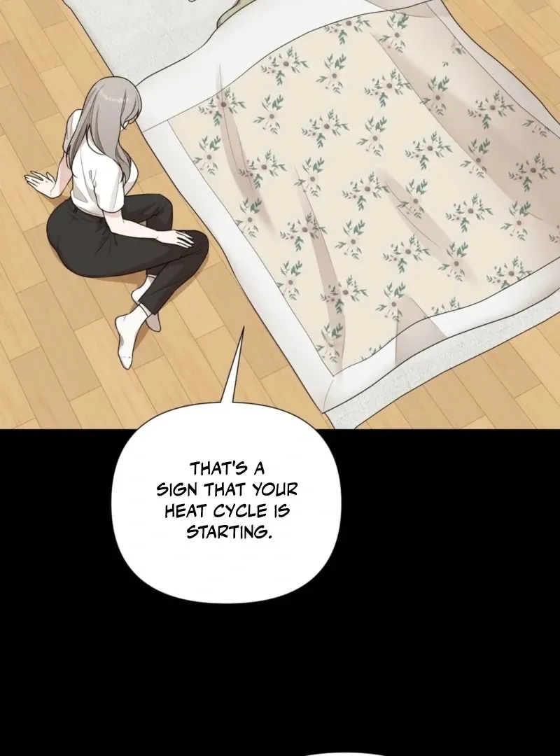 The CEO Caught Me in Heat Chapter 1 page 10 - 