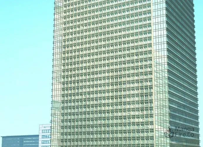 The Chaebeol