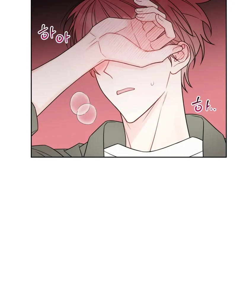The Cherry Boy