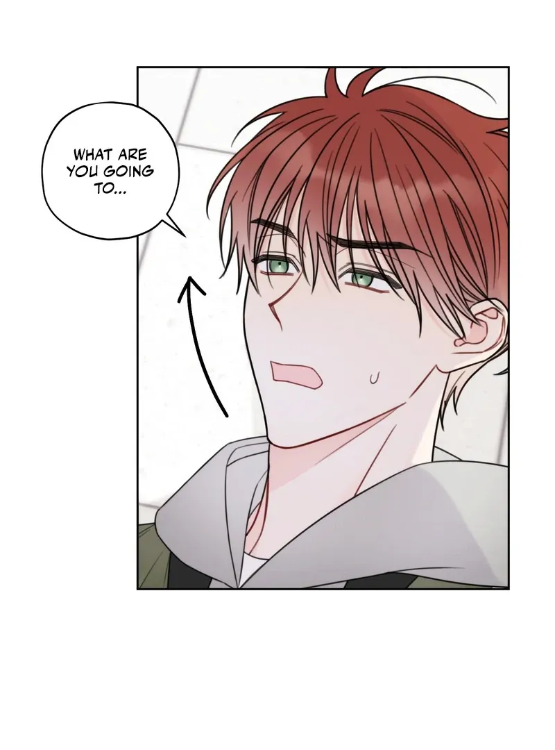 The Cherry Boy