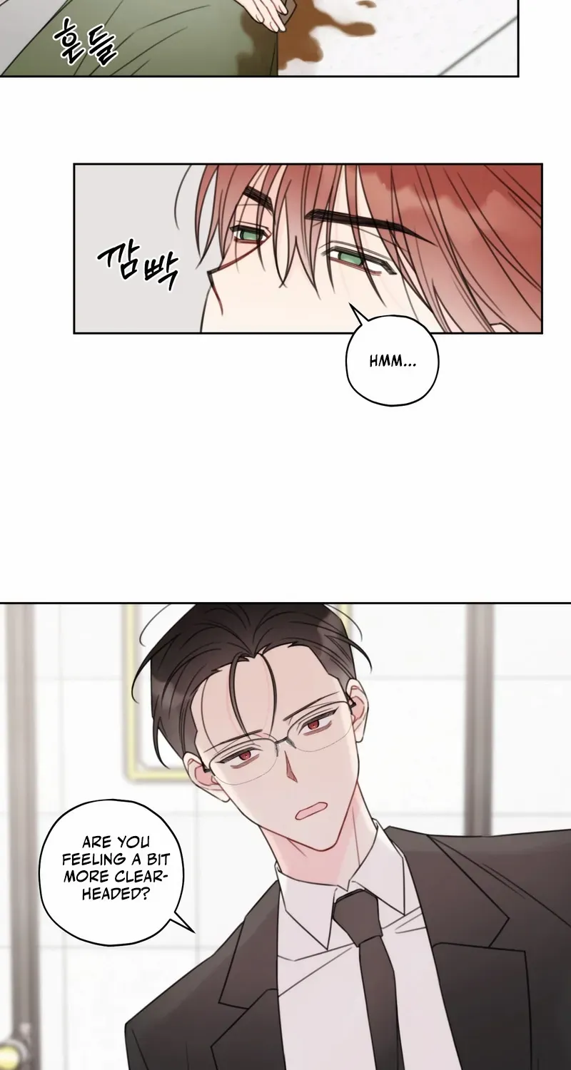 The Cherry Boy