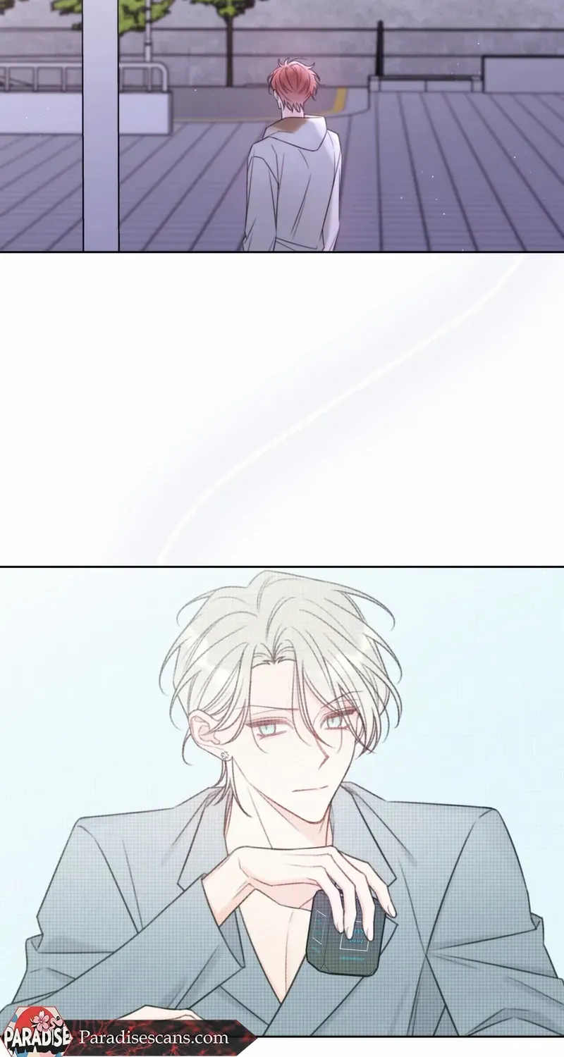 The Cherry Boy